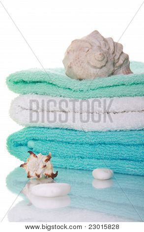 Sea Shells And Towels