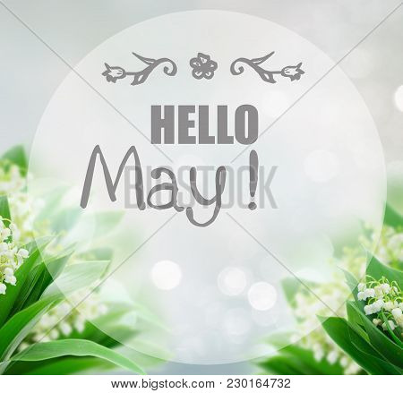 Bunch Of Lilly Of Valley Flowers Over Gray Bokeh Background With Hello May Greetings