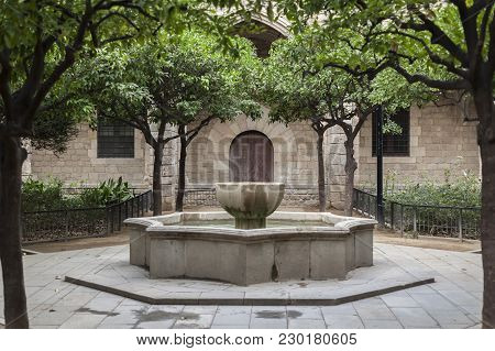Garden And Fountain In Ancient Hospital Of Santa Creu,was Until The Early Twentieth Century The Only