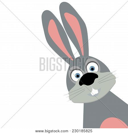 Funny Easter Bunny On A White Background, Illustration