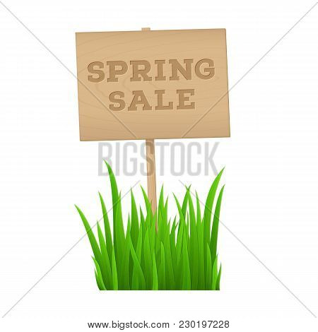 Spring Sale Inscription On Wooden Sign With Fresh Green Grass Isolated On White Background With Copy