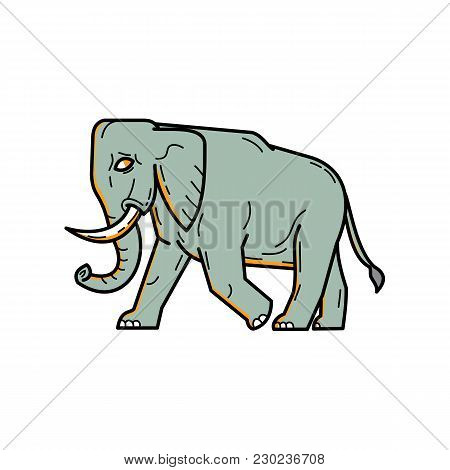 Mono Line Illustration Of An African Elephant,  African Bush Or Forest Elephant Walking Viewed From 