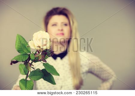International Women Or Mother Day. Beautiful Portrait Of Pretty Woman Blonde Hair With White Rose Fl