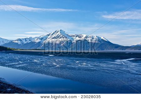 แขน Turnagain