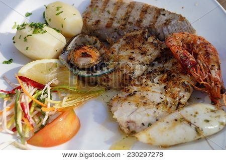 Scabbardfish - Espada Preta - Aphanopus Carbo - Special Seafood Of Madeira