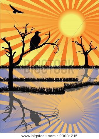 Vecteur de la faune