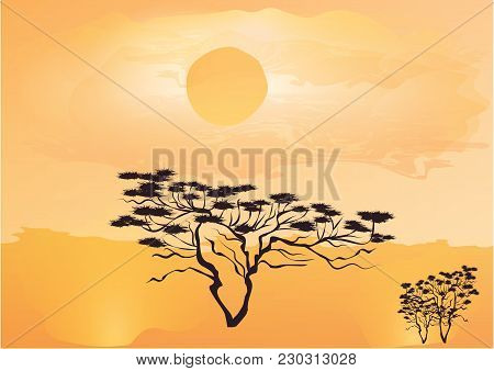 Landscape Desert - Saxaul, Hot Sun - Art Abstract Creative Modern Illustration Vector