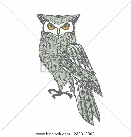 Vector Image Of A Grey Owl With Orange Eyes