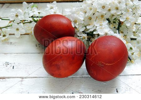 Easter Eggs And Cherry Twigs