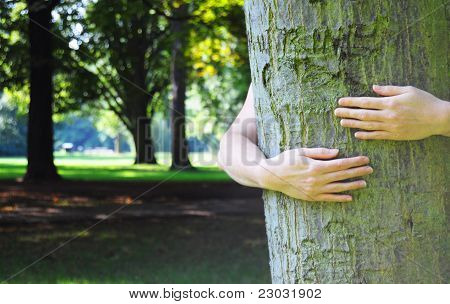 Ecologia