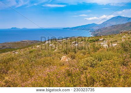 Beautiful Summer Landscape Of The Southern Coast Of The Island Of Crete, Kourtaliotiko Gorge, Greece