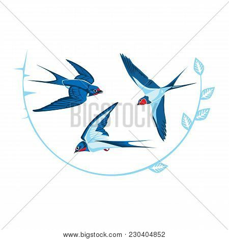 Vector Image Of Three Blue Swallows In Flight And Floral Ornament