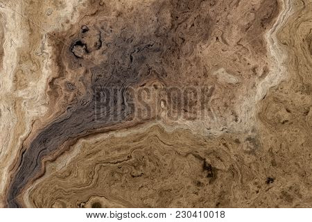 Texture Of Roots Of Tree With Wavy Lines And Age Rings. Abstract Background.