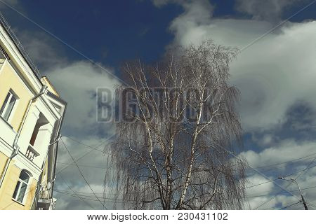 Walking In The Early Spring Along The City Street.