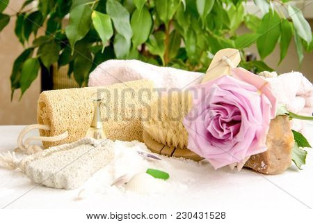 Sea Salt Crystals For Bathroom, Pumice, Luff,  Rose Flower, Body Brush, Shells, Handmade Soap With T