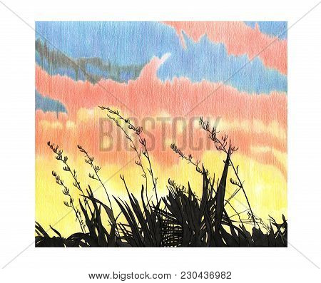 Hand Drawing Illustration With Sky Sunset And Black Plants