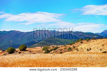 Rural Landscape With Mountains In Villasor, Cagliari, South Sardinia, Italy