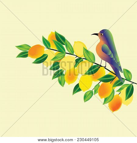 Branch With Lemons Yellow And Exotic Bird On Background Light Creative Art Abstract Modern Vector