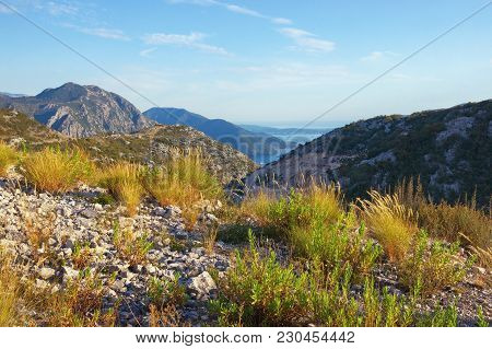 Beautiful Summer Mountain Landscape. Balkans, Montenegro, View Of Bay Of Kotor