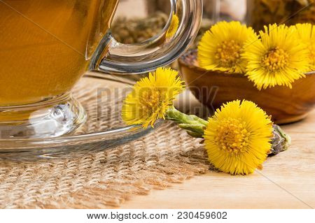 Fresh Coltsfoot (tussilago Farfara) Flowers With Coltsfoot Tea On A Table