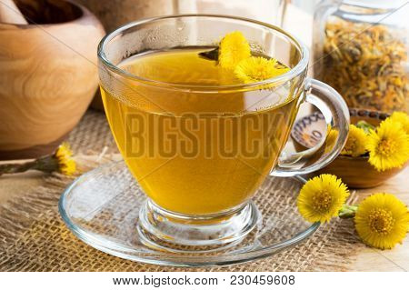 Fresh Coltsfoot (tussilago Farfara) Tea With Coltsfoot Flowers On A Table
