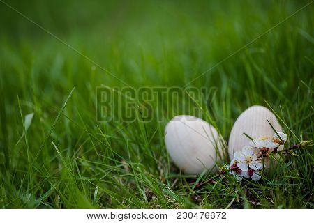 Two White Wooden Easter Eggs With A Branch Of Apricot In Green Grass. Easter Background. Search For 