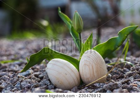 Two White Wooden Easter Eggs With A Branch Of Apricot In Green Grass. Easter Background. Search For 