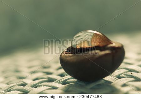 Roasted, Fragrant Coffee Grains Macro Delicious Beverage On Yellow Background