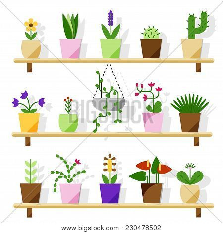 Indoor Potted Plants Isolated On White. Vector Set Green Plant In Pot, Illustration Of Flowerpot Blo