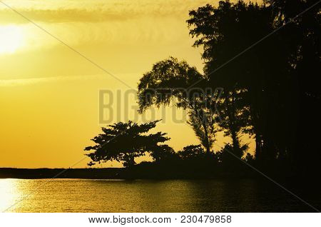 Silhouette Of A Tree Near A Beach During Sunrise For Travel And Romantic Feeeling