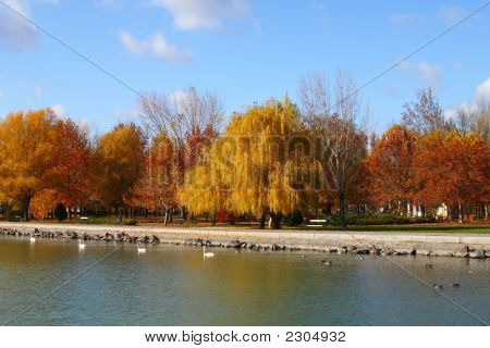 Autumn.1
