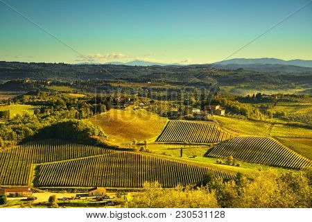 Panoramic View Of Countryside And Chianti Vernaccia Vineyards From San Gimignano At Sunrise. Tuscany