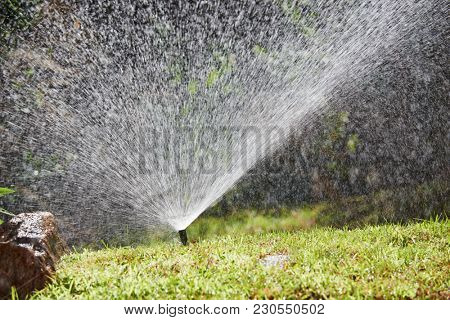 watering or sprinkling grass lawn