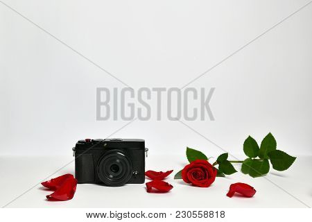 Red Rose, Petals, And Camera Photo With White Background