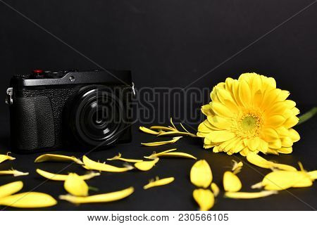 Yellow Flower, Petals And Camera With Black Background