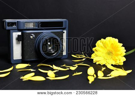 Yellow Flower, Petals And Camera With Black Background