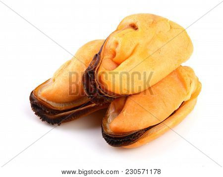 Three Mussel Without Shell Isolated On White Background.