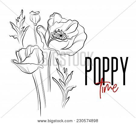 Vector Poppy Flowers Decorative Print. Nature Flowers Black White Illustration. Poppier Bloom Summer