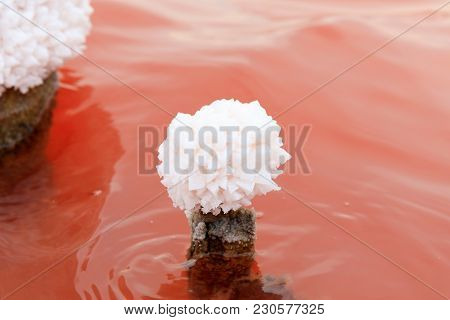The Salty Lake With Pink Water And The Beach From Salt. Old Logs Pier On Lake Sasyk In The Crimea. S