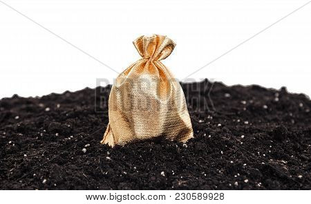 Golden Bag With The Money On The Ground.
