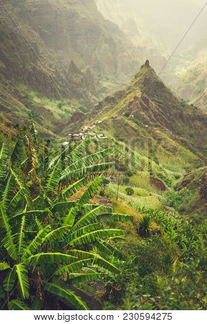 Banana Plantation In Xo-xo Valley. Trekking Route 202 Lead Between Harsh Peaks Of The Mountains Alon