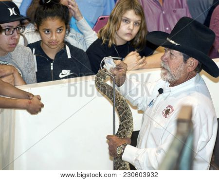 Sweetwater,texas - March 10,2018  60th Annual Sweetwater, Texas Rattlesnake Roundup Largest In The W