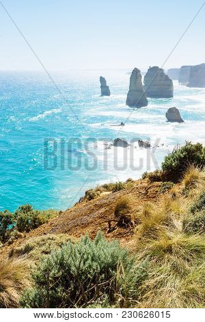 Grassland And Green Bushes At The Twelve Apostels At The Great Ocean Road, Victoria, Australia, Vert