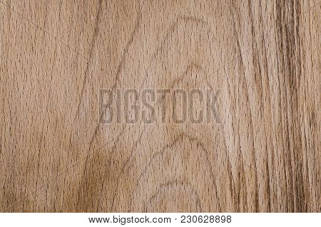 Natural Wood Texture With Annual Rings. Brown Color