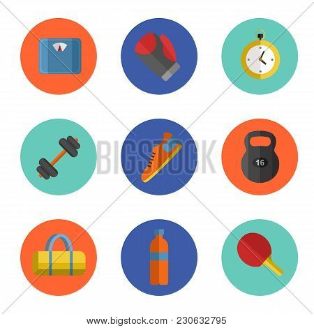 Colorful Illustration Of Gym Sports Equipment Icons Set. Boxing Gloves, Weight, Bag, Sports Shoes, T