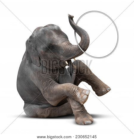 Cute Baby Elephant Playing Hulahoop Isolated On White Background With Clipping Path