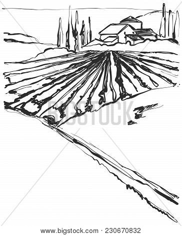 Farm Hills Drawing. Landscape Sketch. Field And House.
