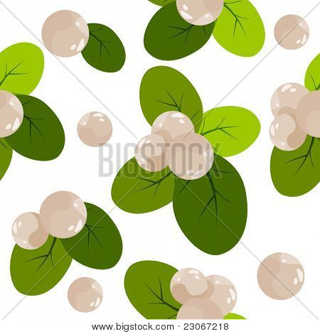 Vzor bezešvé Vánoce s snowberries