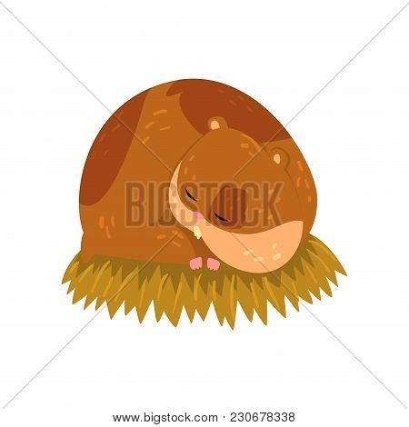 Cute Cartoon Hamster Character Sleeping On The Straw, Funny Brown Rodent Animal Pet Vector Illustrat