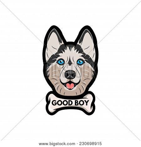 Husky Dog With Bone. Good Boy Lettering. Vector Illustration Isolated On White Background.
